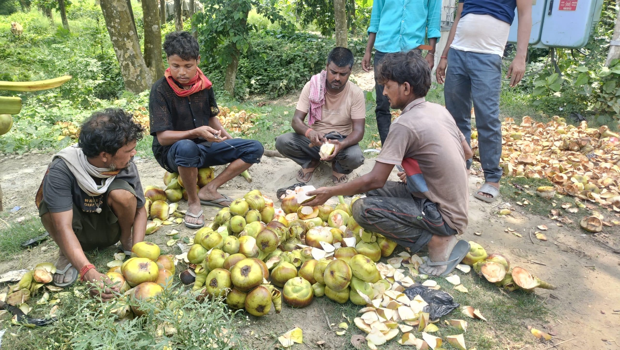 गर्मी बढ़ने के साथ तारकून की मांग बढ़ी, बाजार में खूब हो रही बिक्री