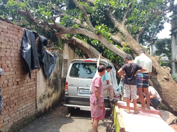 आम का पेड़ गिरने से सीएचसी की दीवार व कार क्षतिग्रस्त