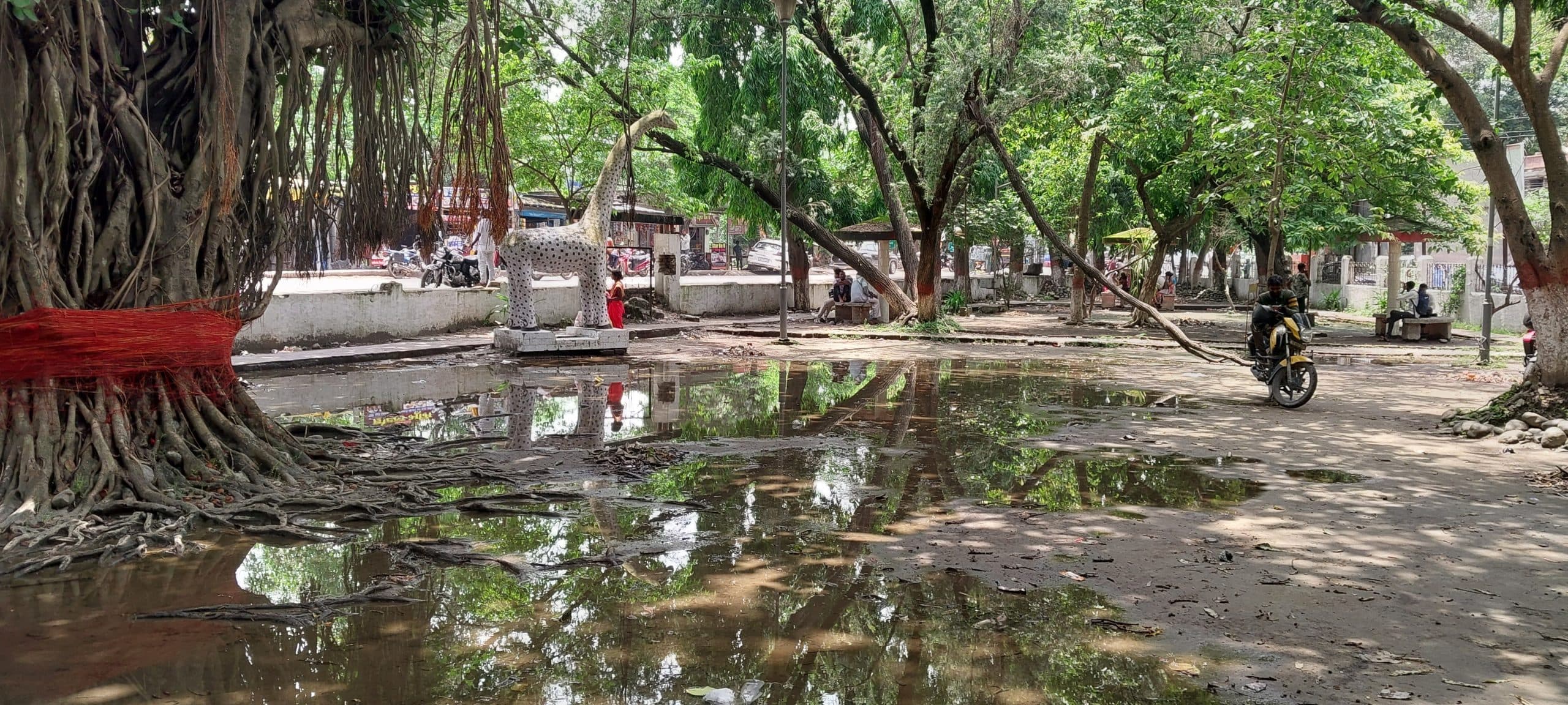 समाहरणालय के सामने बनाया गया इंदिरा पार्क बदहाल, लोगों को नहीं मिल रही सुविधा