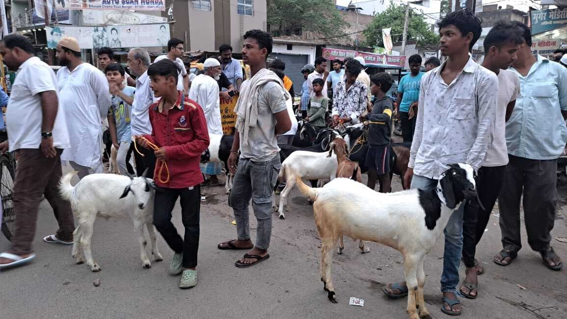 बकरीद को लेकर बाजार तैयार, जोर पकड़ा बकरों की खरीदारी