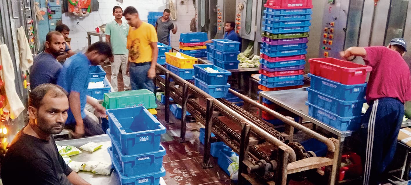 Gaya News : देसी गायों के पालन को लेकर शुरू किया पायलट प्रोजेक्ट