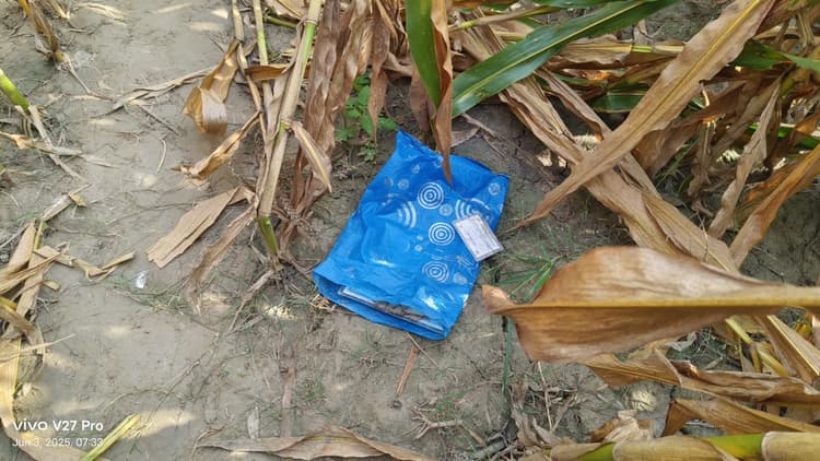 Bhagalpur news लापता बीए पार्ट टू की छात्रा का शव मक्का के खेत में मिला