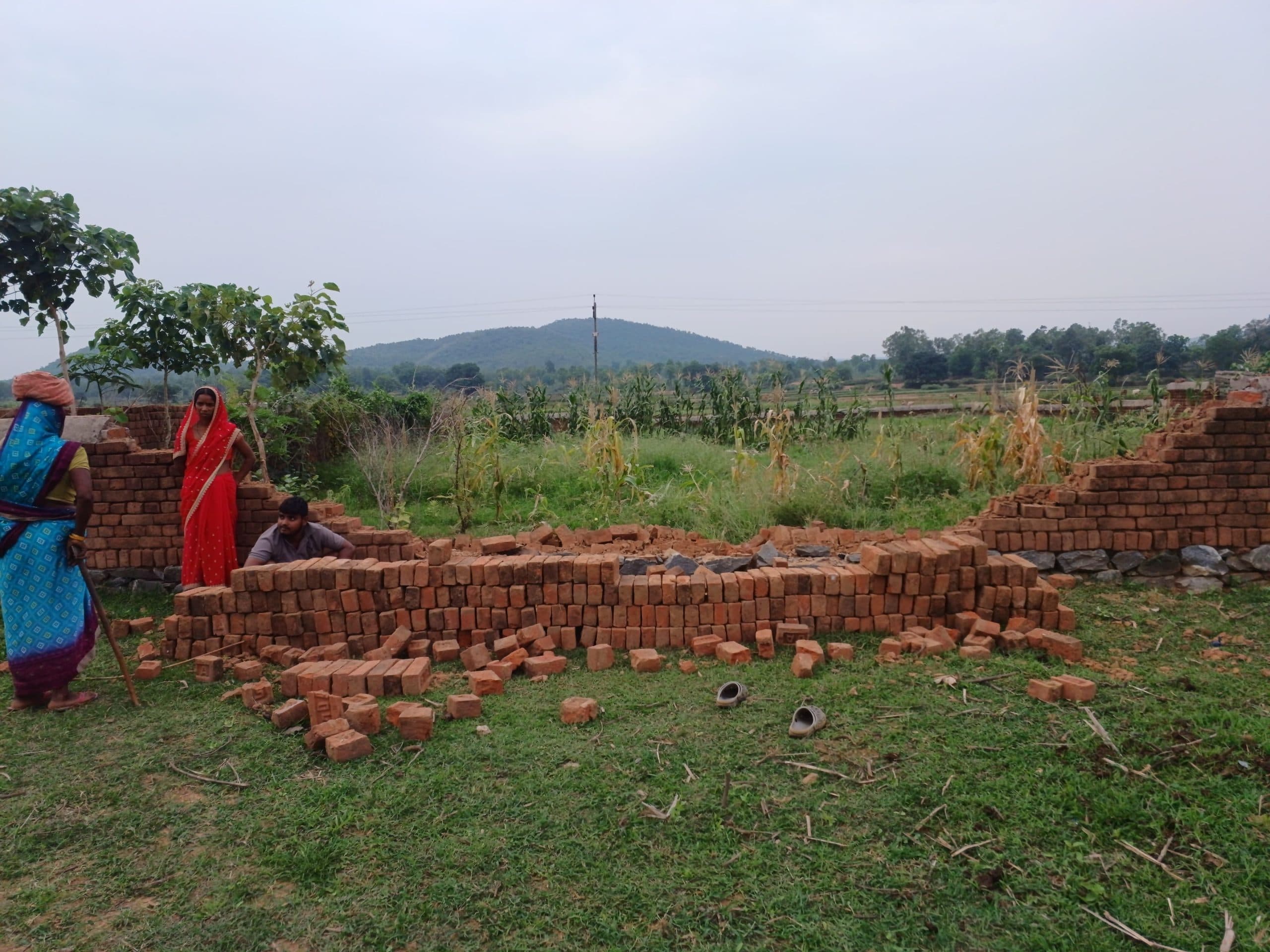 Giridih News: तीसरे दिन भी हाथियों का उत्पात जारी, चहारदीवारी तोड़ी, फसलों को रौंदा