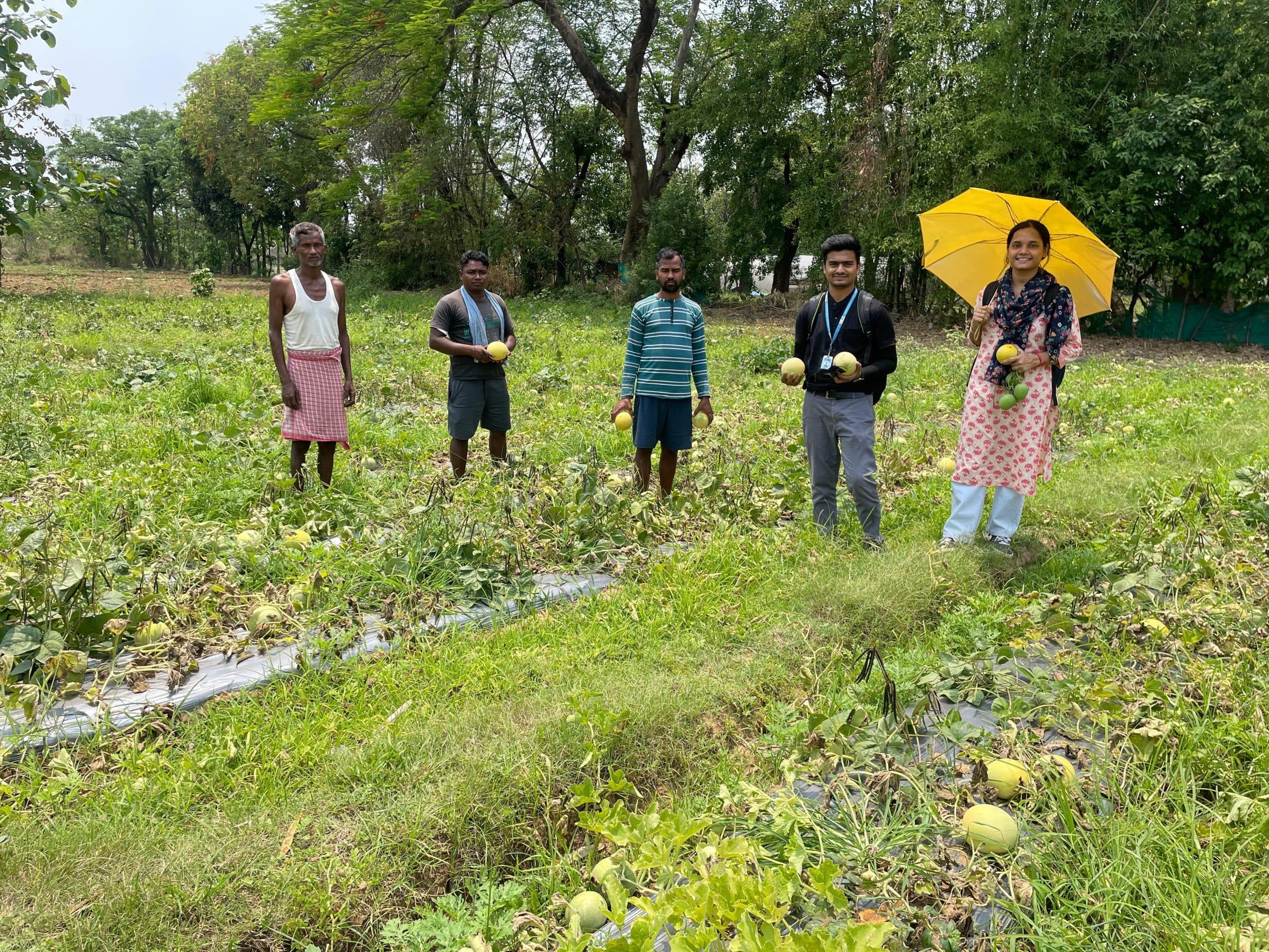 Ranchi News : उषा मार्टिन की पहल से आधुनिक खेती की ओर शिक्षित युवाओं का बढ़ा रूझान