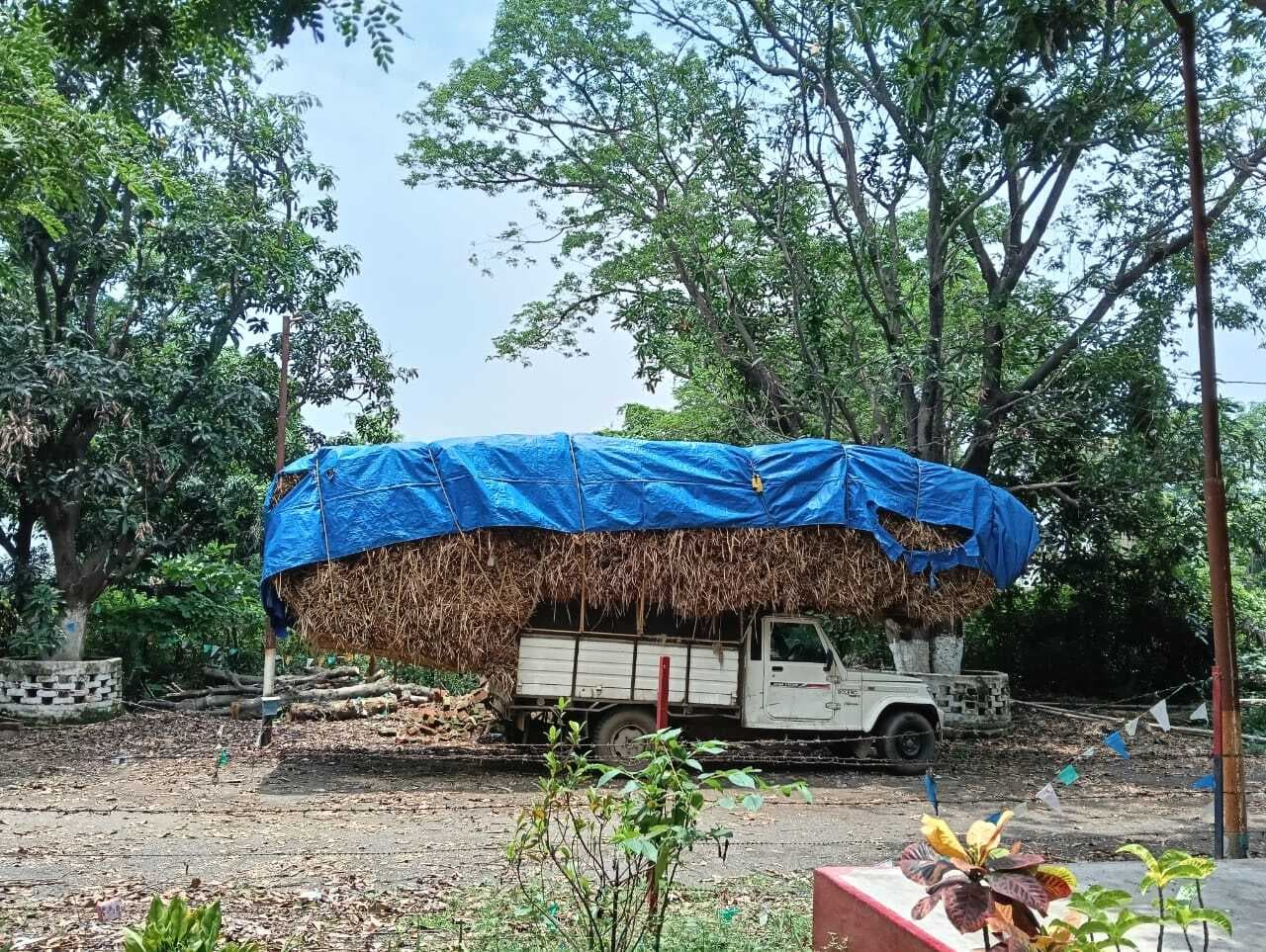 रानीश्वर में पुआल लदे पिकअप वैन की चपेट में एक की मौत