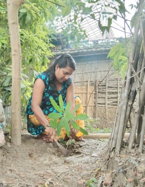 पर्यावरण वाली दीदी ने पौधारोपण कर विश्व पर्यावरण दिवस पर ऑक्सीजन बचाओ का संदेश दी