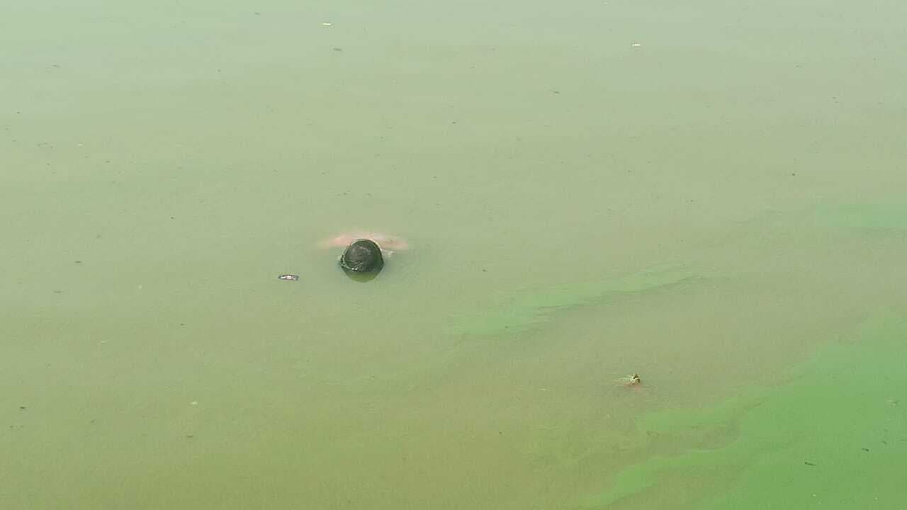 बासुकिनाथ शिवगंगा से भागलपुर के युवक की लाश बरामद