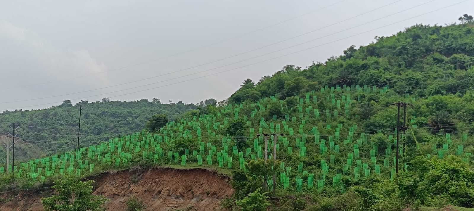 अवैध खनन के कारण गुम हो रही हरियाली, बिगड़ रहा पर्यावरण संतुलन