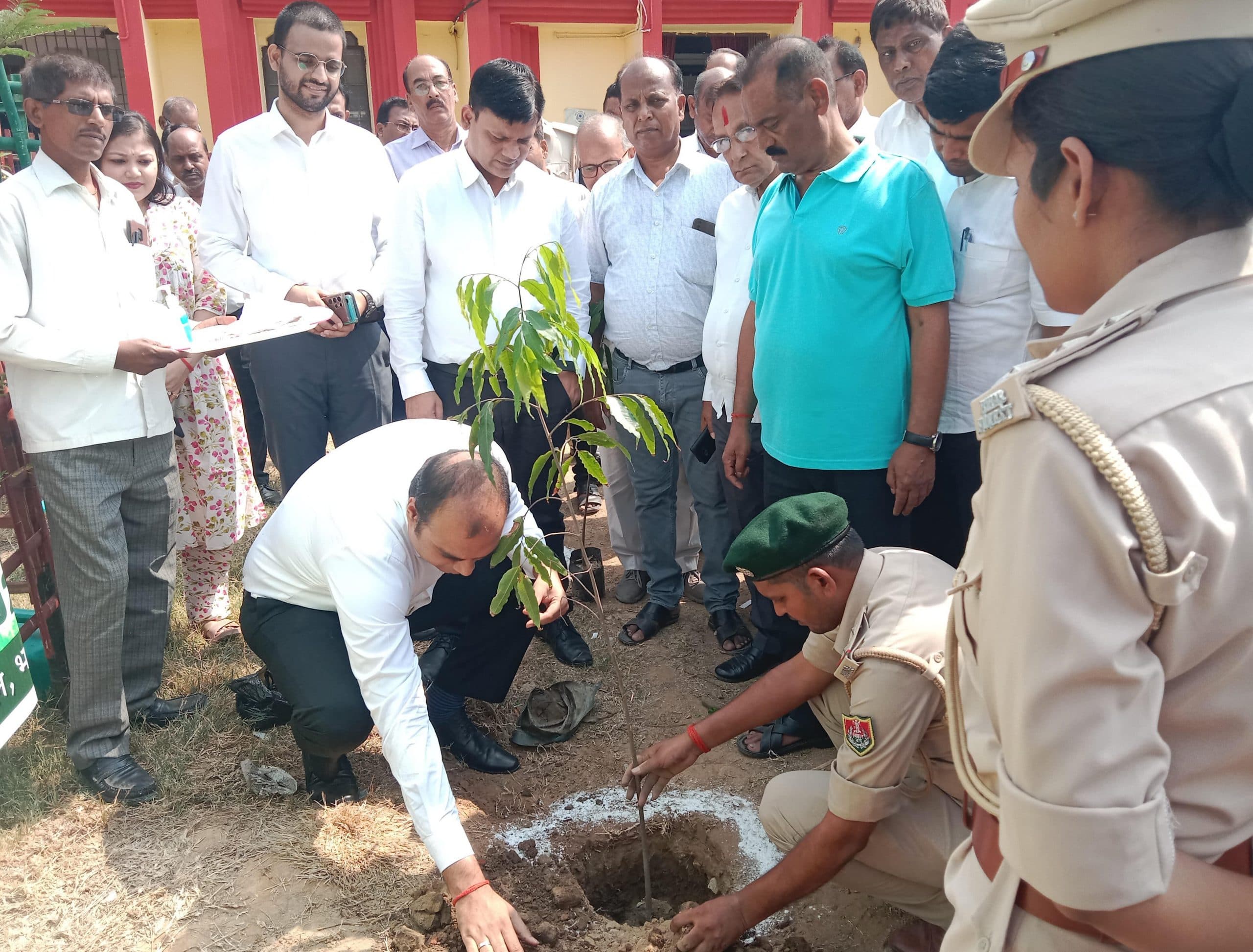 न्यायाधीश, वन पदाधिकारी संग अधिवक्ताओं ने किया पौधारोपण