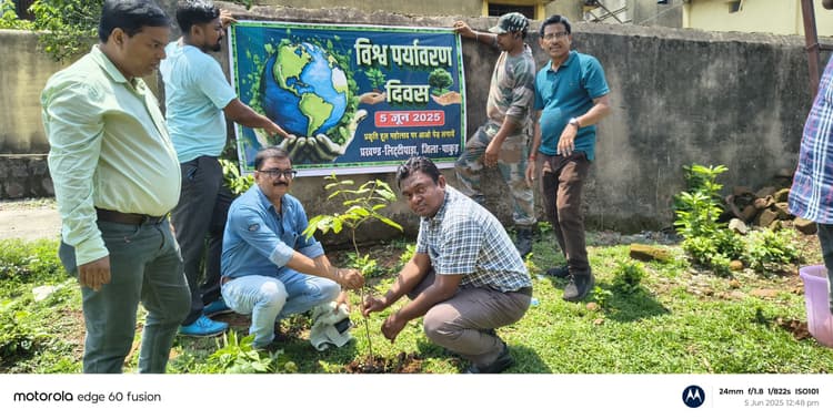 विश्व पर्यावरण दिवस पर एसडीओ ने किया पौधारोपण