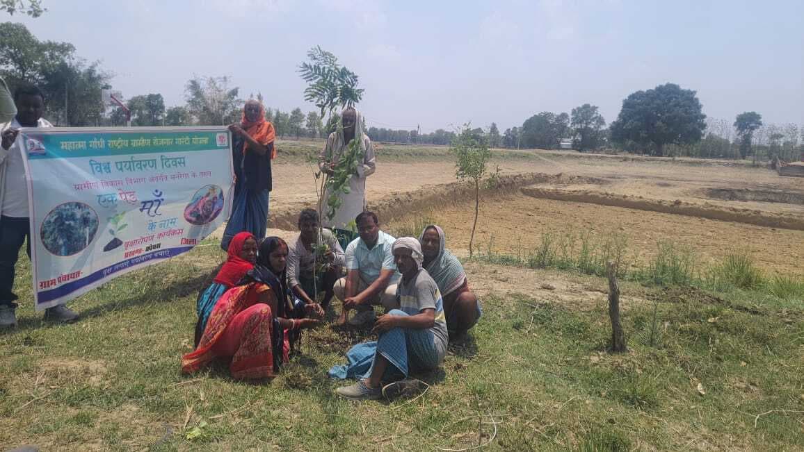 कोचस में एक पेड़ मां के नाम कार्यक्रम के तहत 400 पौधे लगाये गये