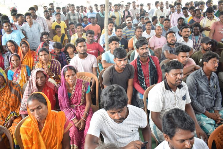 डीसी व एसपी ने पौधरोपण कर की पर्यावरण बचाए रखने की अपील