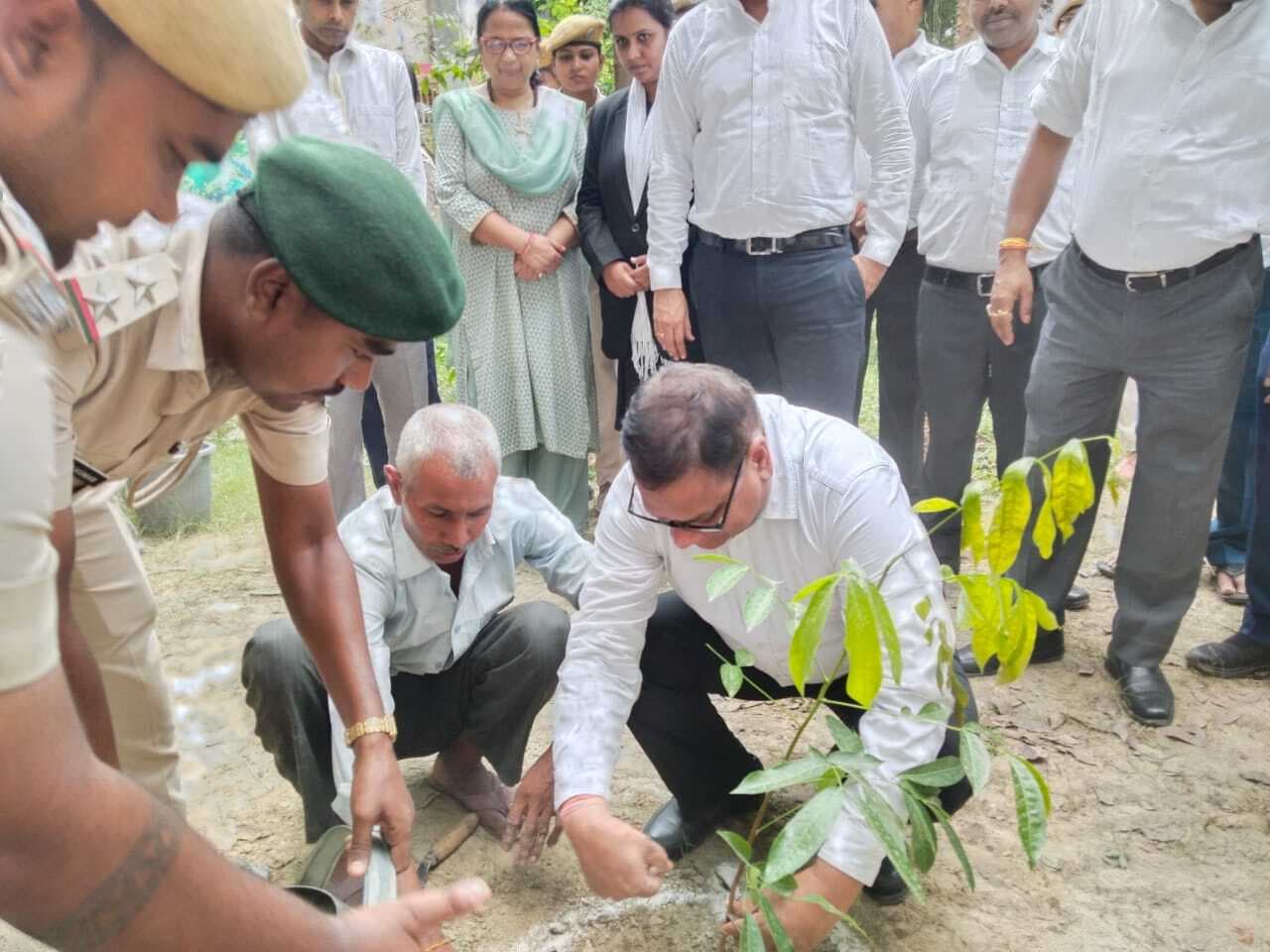 Samastipur News:न्यायालय परिसर में न्यायिक पदाधिकारियों ने किया पौधरोपण