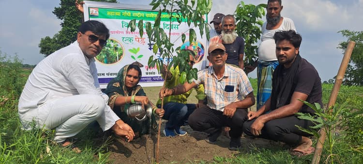 सभी पंचायतों में किया जाएगा 12-12 यूनिट पौधरोपण