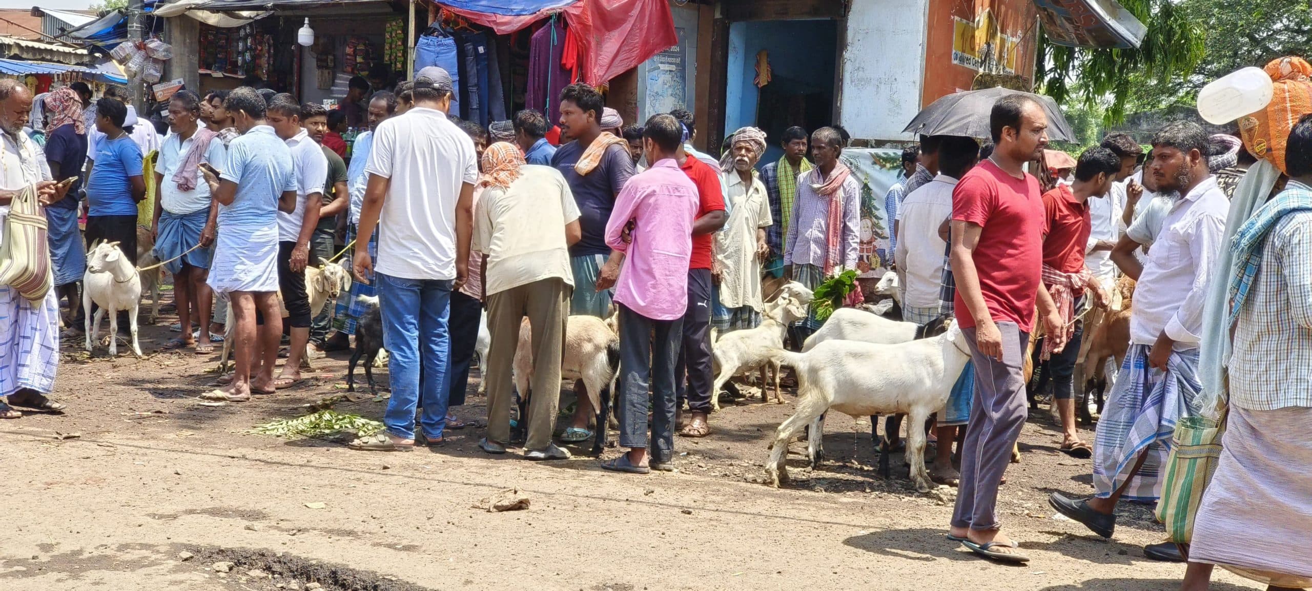बकरे की खरीदारी के लिए हिरणपुर हाट में उमड़ी भीड़