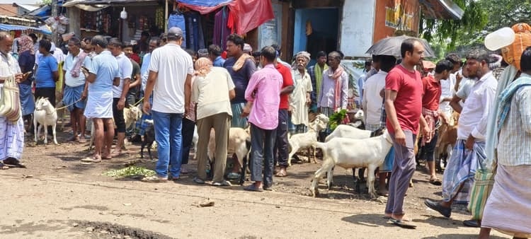 बकरे की खरीदारी के लिए हिरणपुर हाट में उमड़ी भीड़