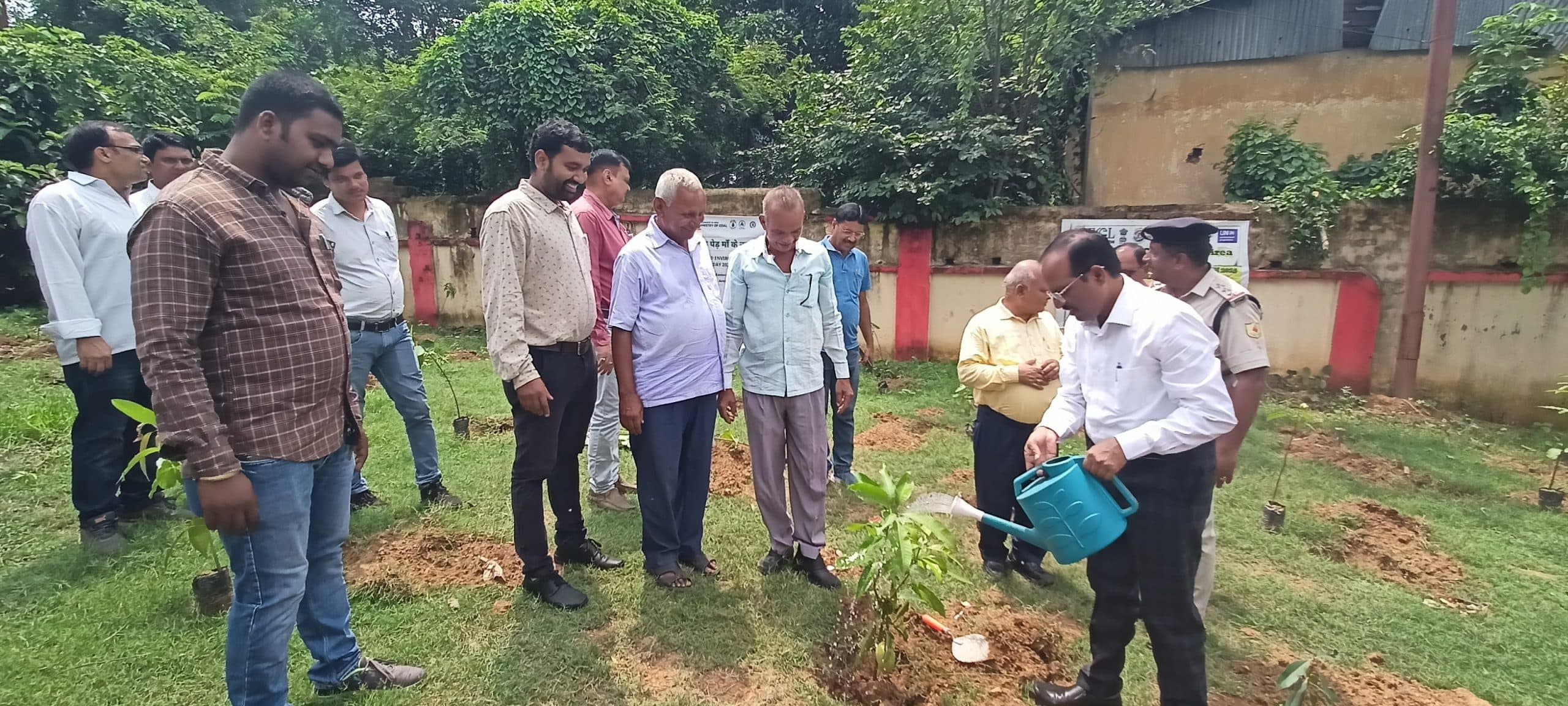 Deoghar news : चितरा कोलियरी में मनाया गया विश्व पर्यावरण दिवस, किया गया पौधरोपण