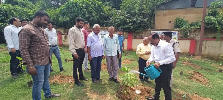 Deoghar news : चितरा कोलियरी में मनाया गया विश्व पर्यावरण दिवस, किया गया पौधरोपण