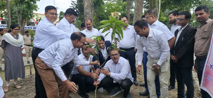 शुद्ध हवा, स्वास्थ्य जीवन के लिए पौधरोपण जरूरी