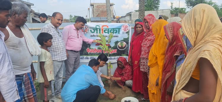 जीविका दीदियों ने किया पौधरोपण