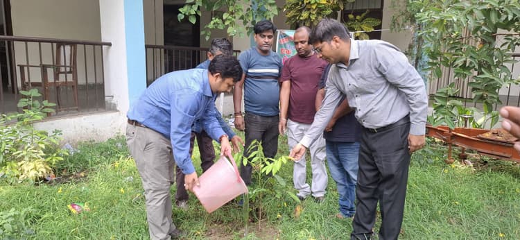 विश्व पर्यावरण दिवस पर अनुमंडल परिसर में किया गया पौधरोपण