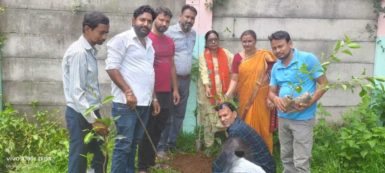 पर्यावरण दिवस पर जेबीसी विद्यालय परिसर में किया गया पौधरोपण