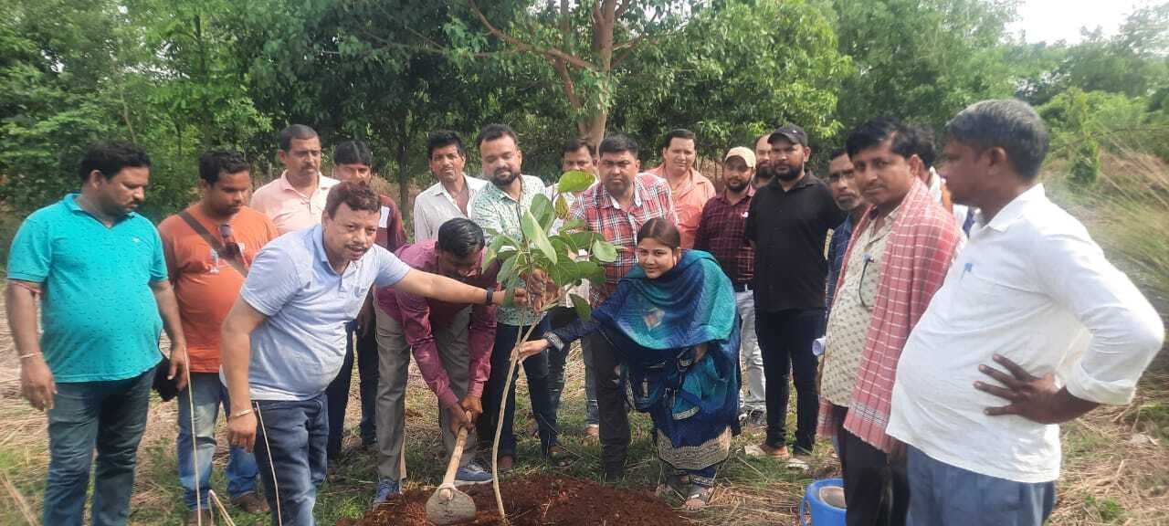 बीडीओ ने विश्व पर्यावरण दिवस पर किया पौधरोपण