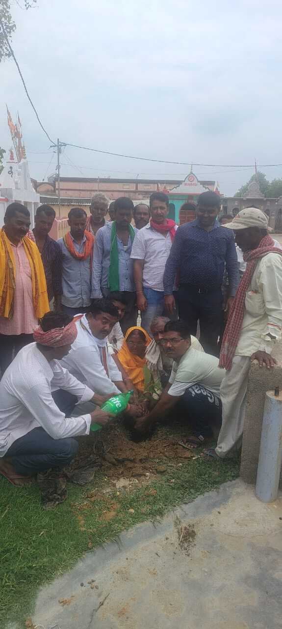 मुखिया ने पौधा लगाकर पर्यावरण बचाने का लिया संकल्प