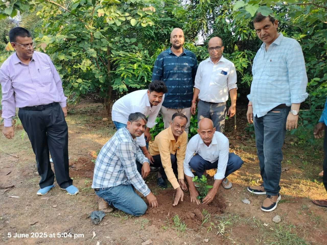 सिलजोरी स्थित बीएड कॉलेज में हुआ पौधारोपण