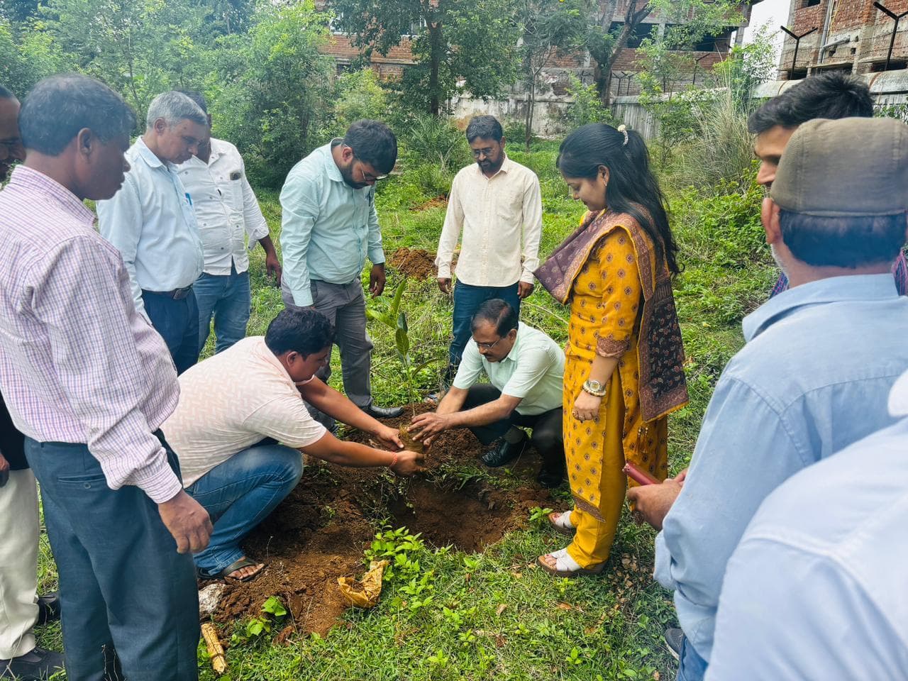 Giridih News :बगोदर व डुमरी में कई जगहों पर लगाये गये पौधे