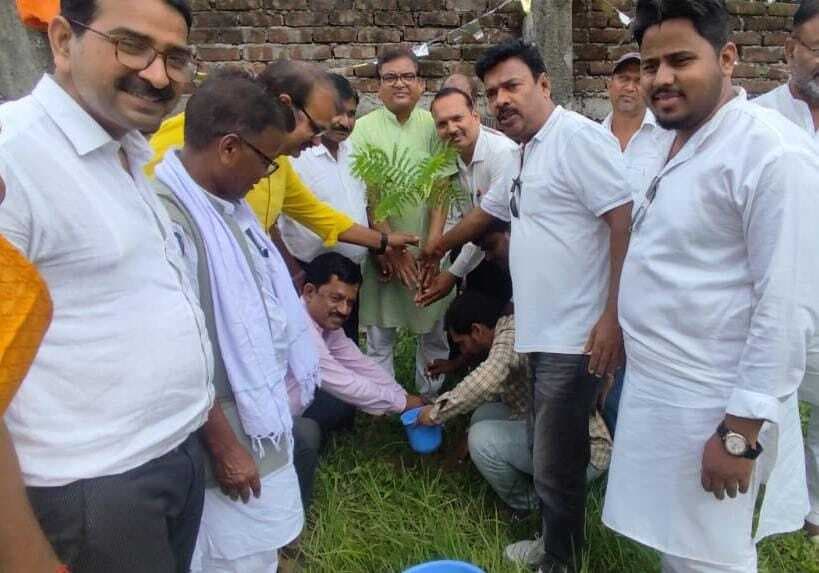 विश्व पर्यावरण दिवस पर भाजपाईयों ने किया पौधरोपण