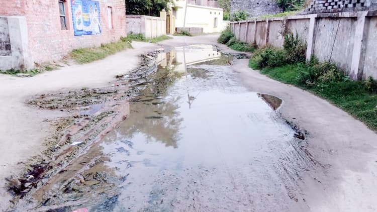 वर्षों से जलजमाव का पर्याय बनी वार्ड आठ के दुबेटोली की सड़क