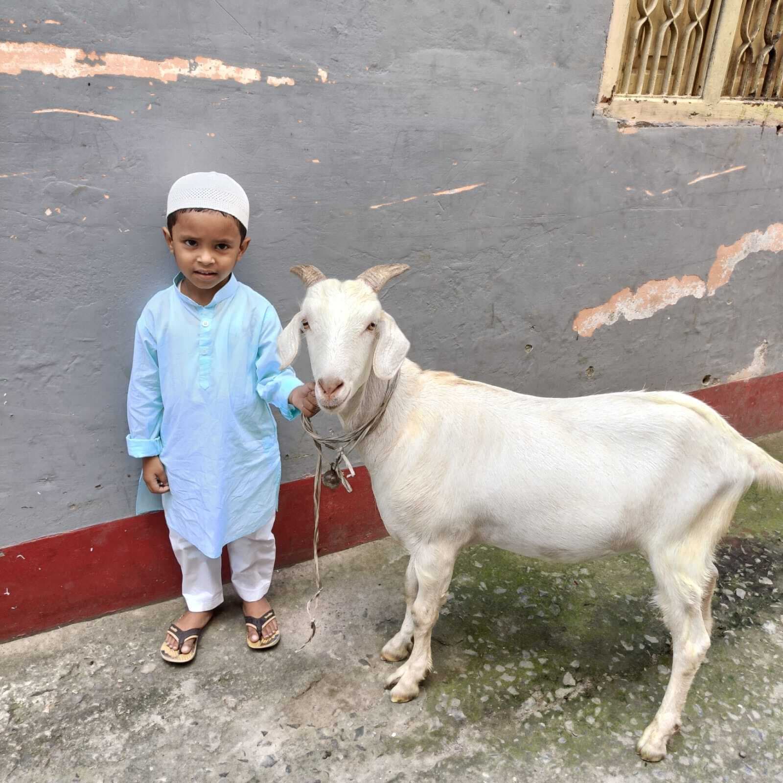 बकरीद आज, तैयारी पूरी, गुलजार रहा बाजार