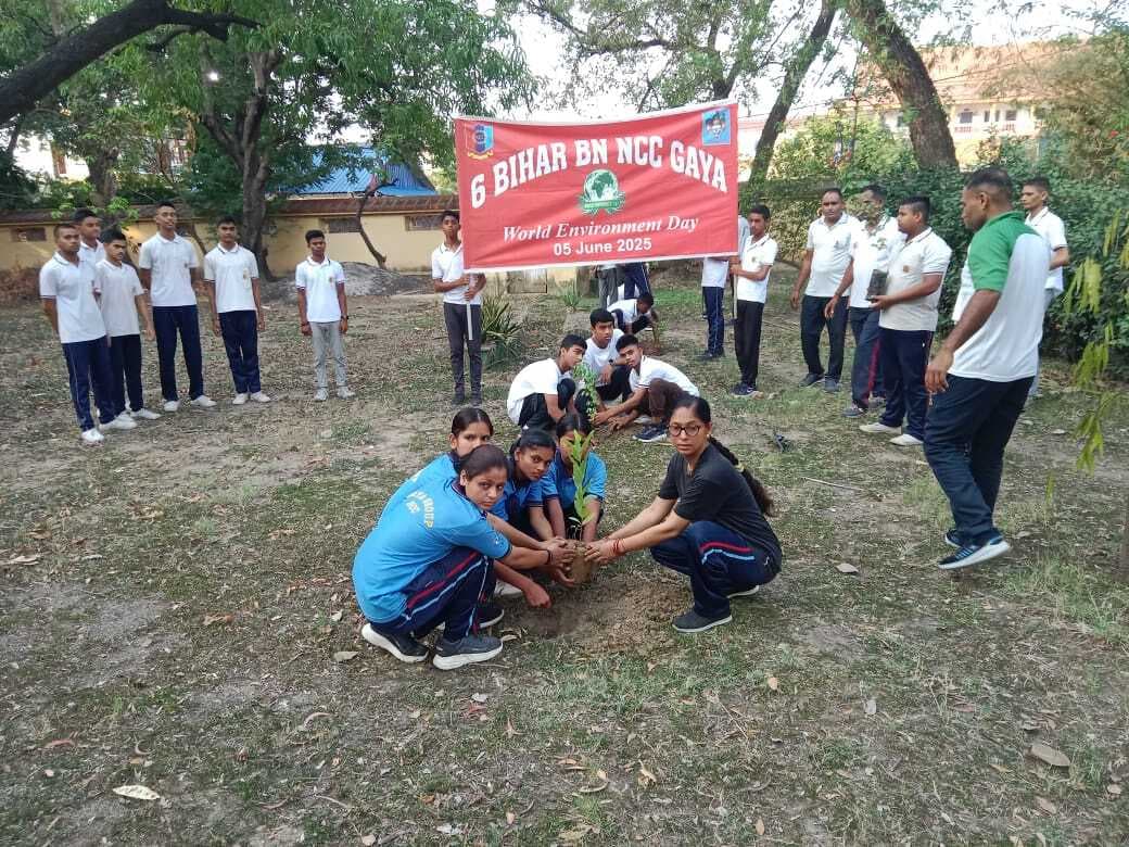 पर्यावरण की शुद्धता के लिए हर व्यक्ति को कम से कम पांच पेड़ लगाने चाहिए
