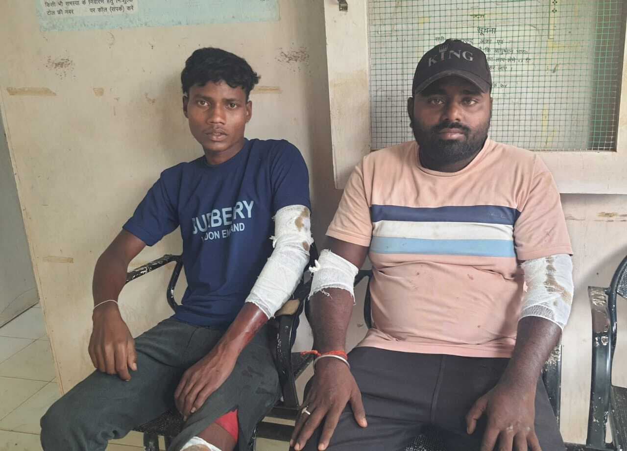 बंदर के कूदने से असंतुलित बाइक हुई दुर्घटनाग्रस्त, दो युवक घायल