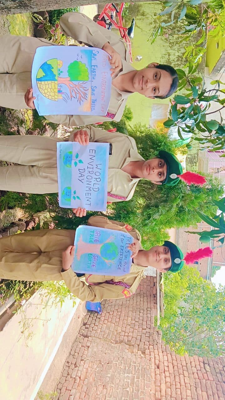 गर्ल्स बटालियन ने पोस्टर निर्माण कर किया जागरूक