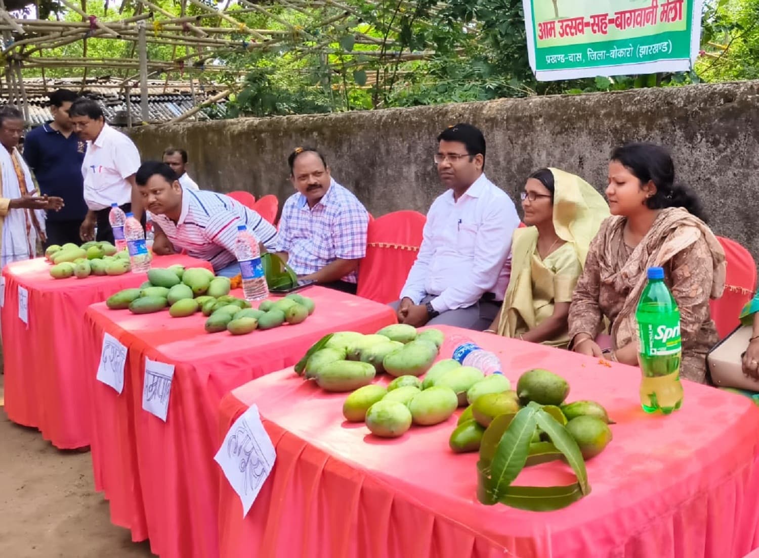 Bokaro News : 100 एकड़ भूमि पर होगी आम की बागवानी : बीडीओ