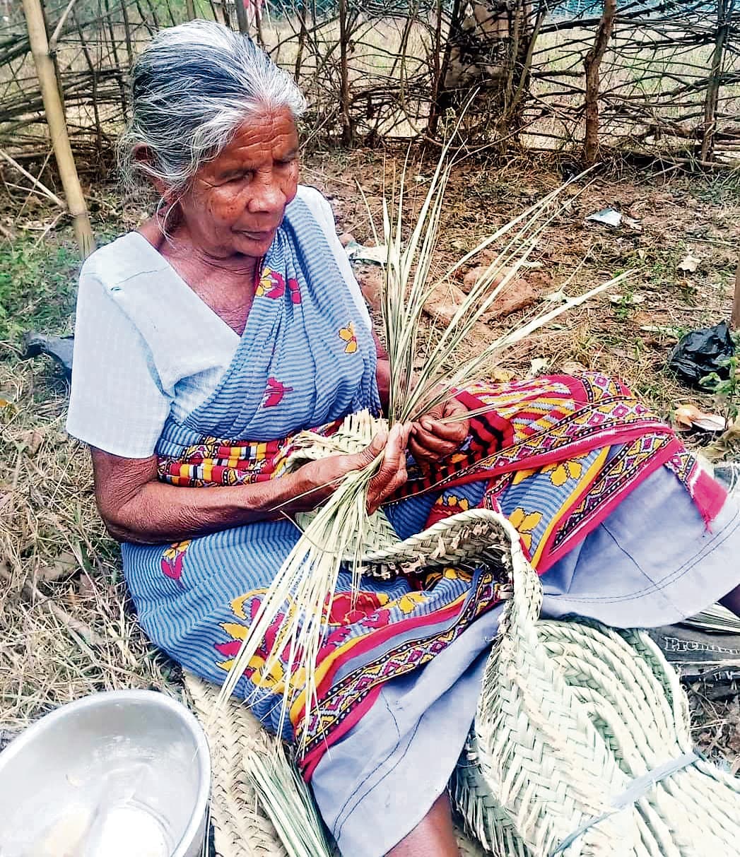 Chaibasa News : विलुप्त हो रही खजूर के पत्तों से चटाई बुनने की परंपरा