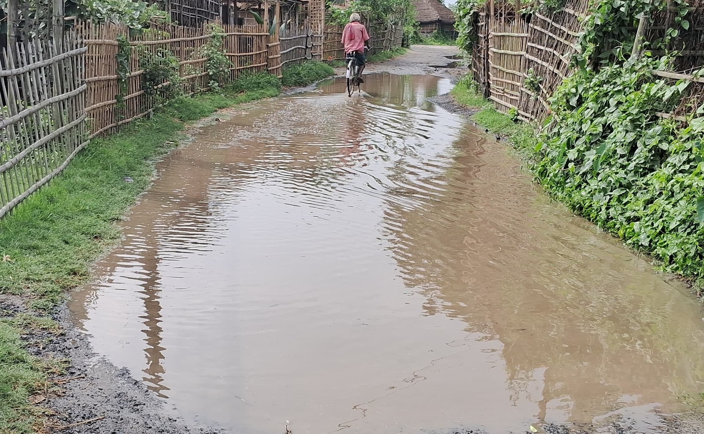बदहाल काझी से रसाढ़ को जोड़ने वाली सड़क की सुधि लेनेवाला कोई नहीं