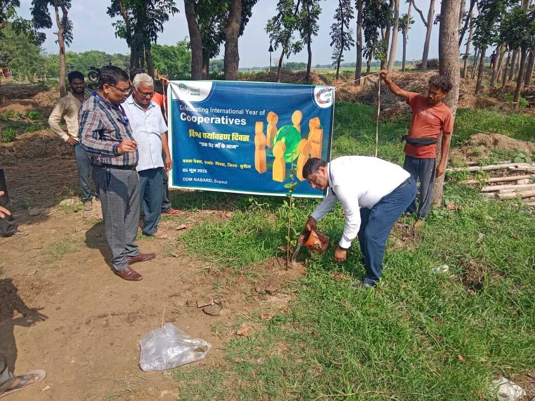 सहकारी समिति बसहा पैक्स में किया गया पौधरोपण