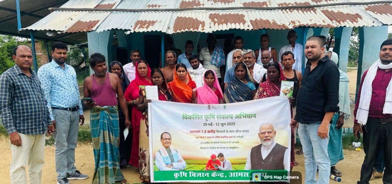 कम समय में अधिक पैदावार पर फोकस, वैज्ञानिकों ने बताये उन्नत बीज