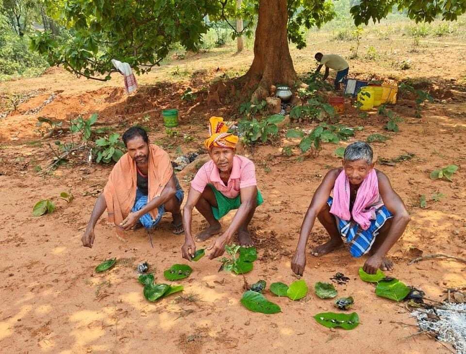 Chaibasa News : अच्छी फसल को ग्रामदेवी की पूजा