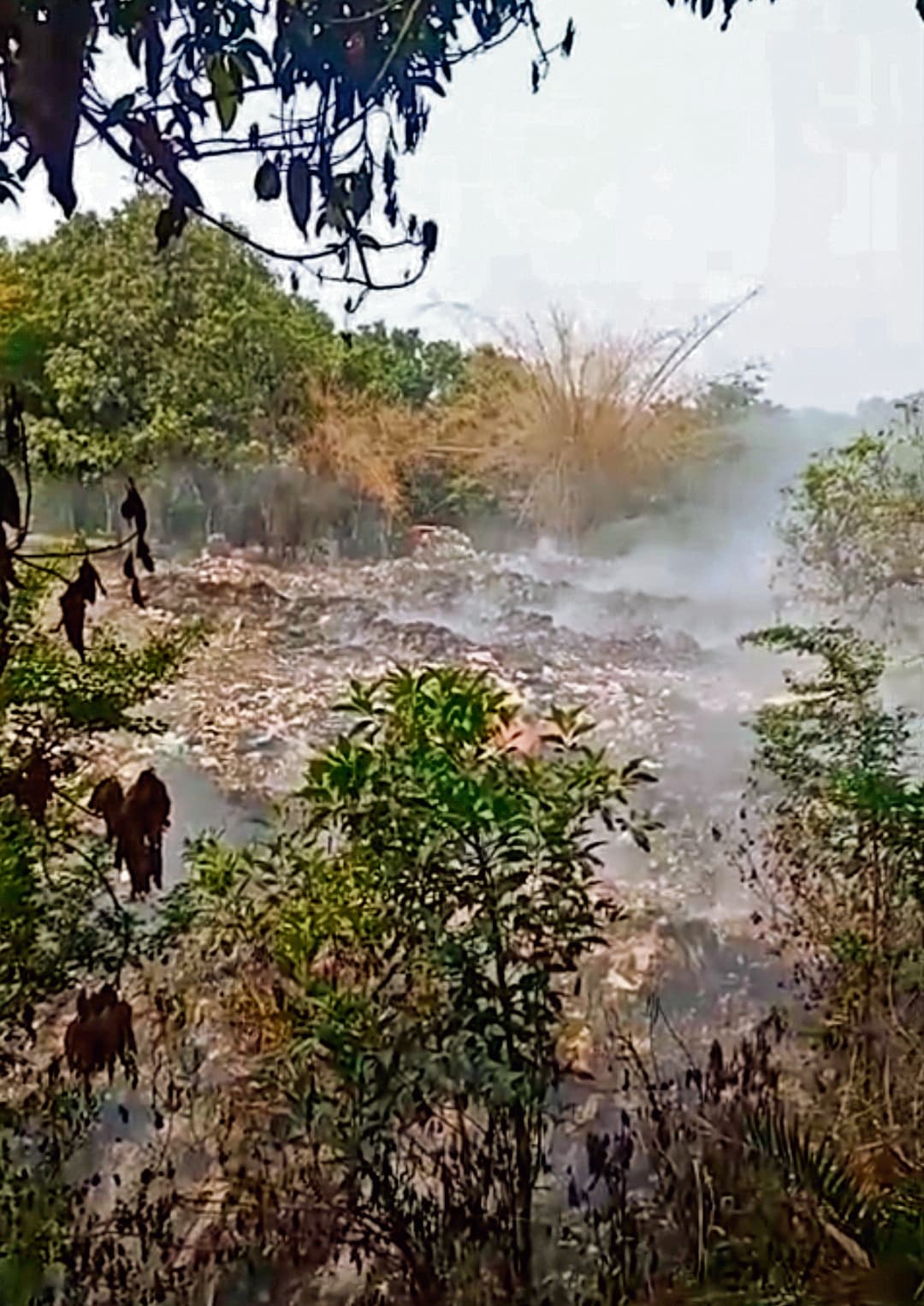 saran news. सोनपुर में नहीं है डंपिंग जोन, जगह-जगह कचरा जमा होने से बढ़ रहा प्रदूषण