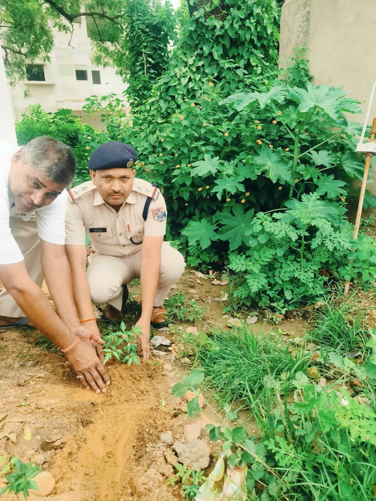 Giridih News: आरपीएफ ने पर्यावरण सप्ताह के तहत किया पौधरोपण