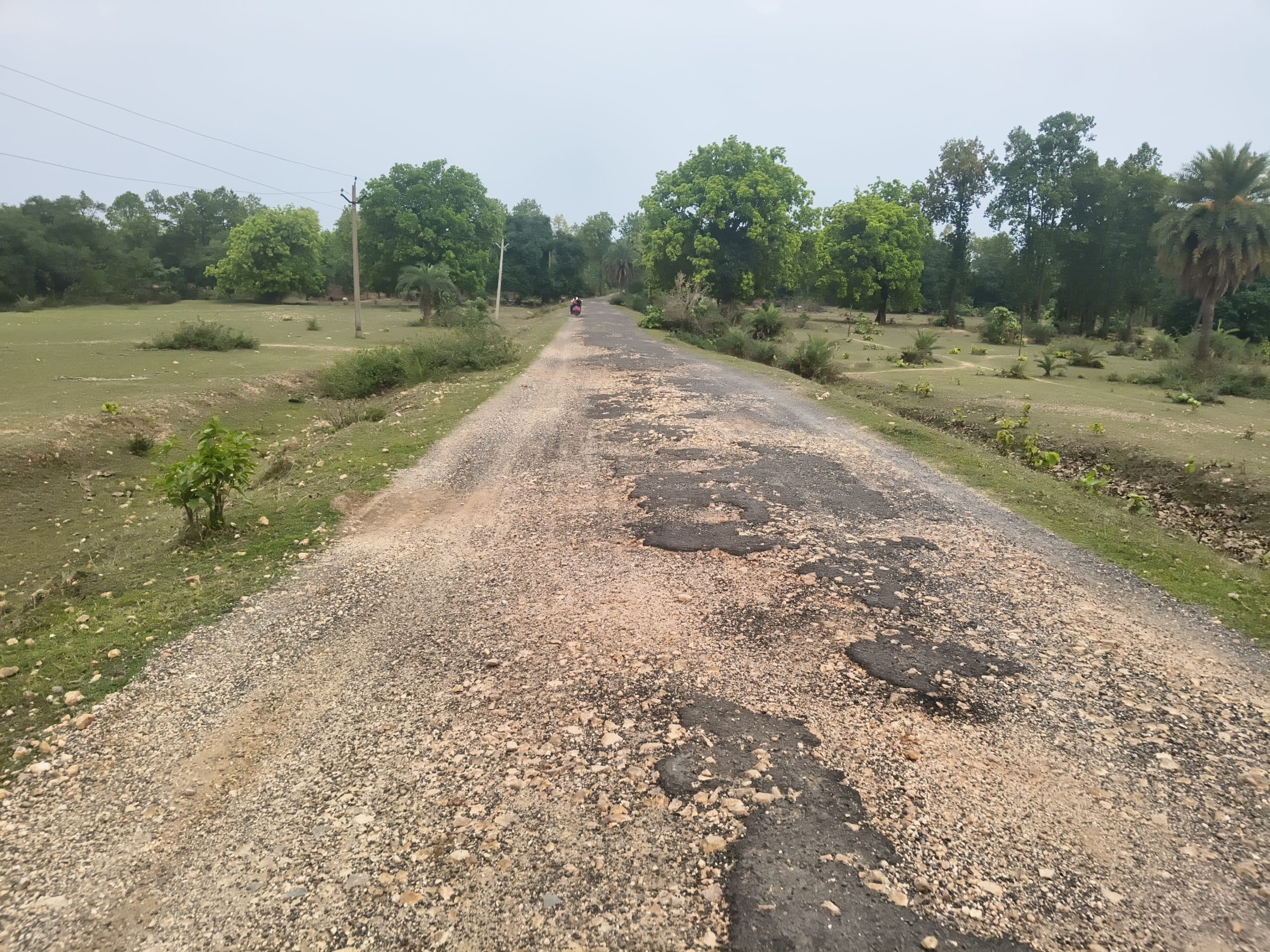 Giridih News: कबेरियाबेड़ा होते हुए संघरवा पुल तक जानेवाली सड़क जर्जर