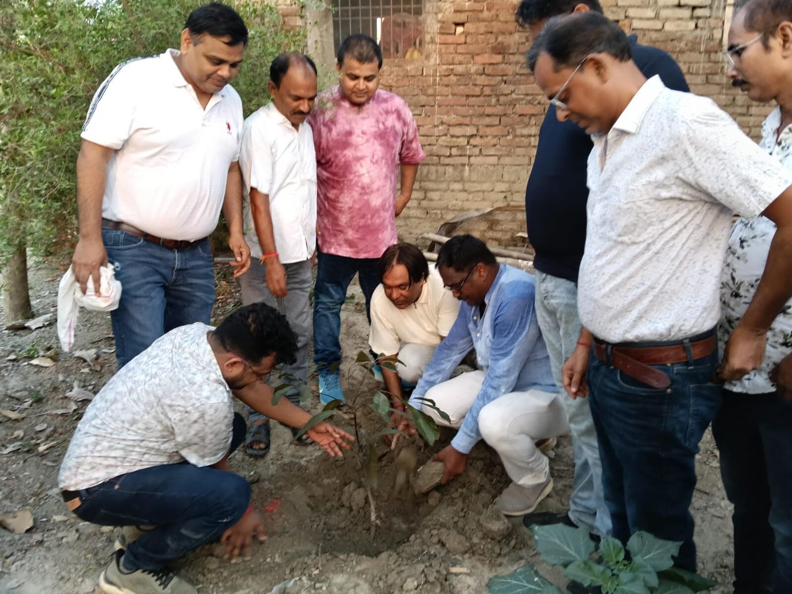 Vaibhav Suryavanshi:वैभव सूर्यवंशी के नाम लगे 252 पौधा