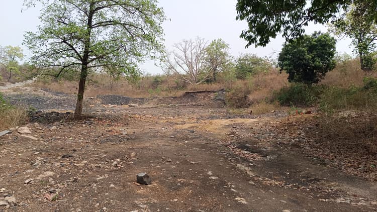 Bokaro News : फुसरो में जमीन के पेच में फंसा सॉलिड वेस्ट मैनेजमेंट प्लांट