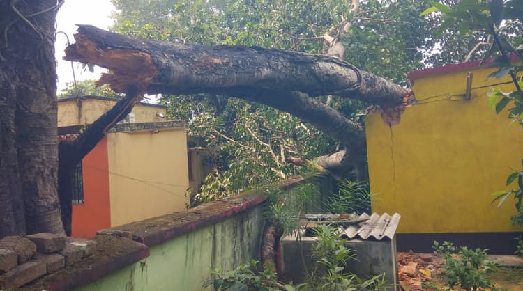 Bokaro News : पेड़ की डाली गिरने से सीसीएल क्वार्टर क्षतिग्रस्त