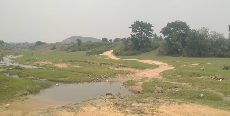 Giridih News: बरसात में टापू बन जाता है धरधरवा गांव, देखने-सुनने वाला कोई नहीं