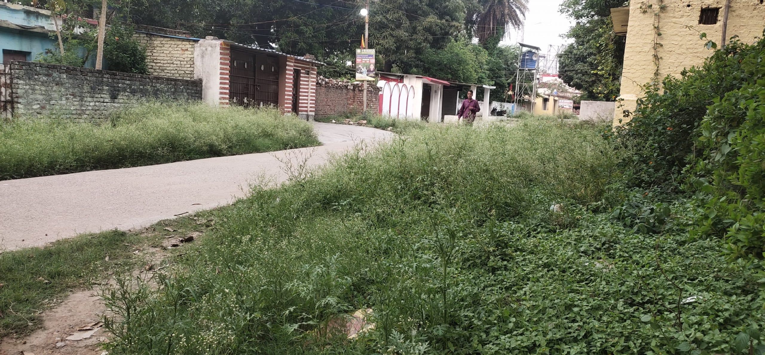 एसीसी कॉलोनी में पसरी गंदगी, मच्छरों का प्रकोप बढ़ा